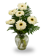 Vase Gerbera Vase Gerbera