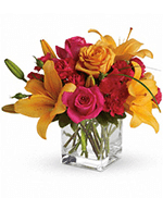 lgance Exclusive de Teleflora